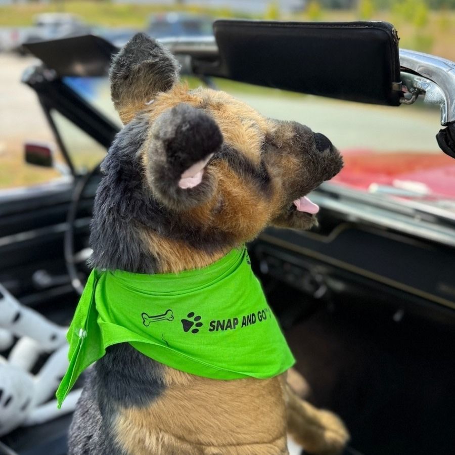 custom dog bandanas templi