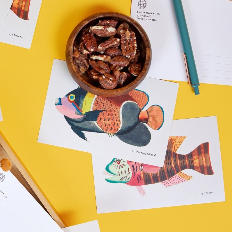 matte coated cards templi